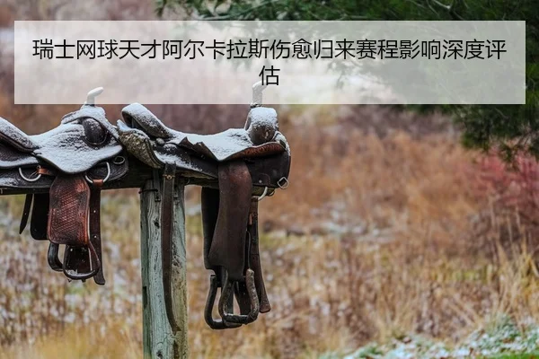 瑞士网球天才阿尔卡拉斯伤愈归来赛程影响深度评估
